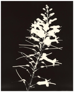 37.2 Paris - 3E725935-C4A5-4C7B-873B-B400DF35EB51.JPG