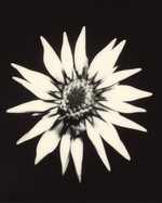 37.2 Paris - 5CC18CD4-308F-4A25-935F-224787F9122E.JPG