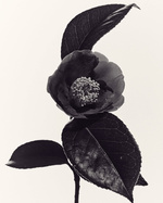 37.2 Paris - 60B8678B-9A20-4D51-8163-853F83214B4A.JPG