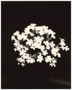 37.2 Paris - 91AB8B44-CC94-418F-8AA6-23B2648CE8FE.JPG