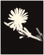 37.2 Paris - 369E53E3-6BD2-42D5-B73E-6A312D954A45.JPG