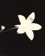 37.2 Paris - 595AE81F-8023-4BA1-A840-D4C04DD1AE9F.JPG