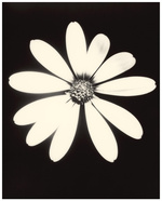 37.2 Paris - 5792A371-62B2-43CC-A33C-978DCFEE51CF.JPG