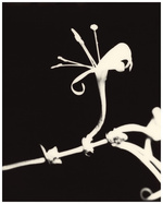 37.2 Paris - A0640F86-F2F8-4602-BD1D-F1CECA788811.JPG