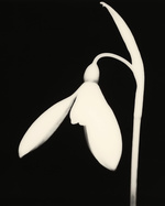 37.2 Paris - B264E4FE-D84F-403F-9F6E-104686763C75.JPG