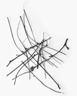 37.2 Paris - C9C2CE95-B64F-452B-9732-16244630A805.JPG