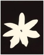 37.2 Paris - C62A81C0-5930-4E67-A4C0-D5E5993CF417.JPG