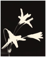 37.2 Paris - D42F5AAC-236C-4E80-9617-6C7DA0CE67B5.JPG