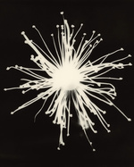 37.2 Paris - EE937680-A770-48F3-83B6-8C1631D070AC.JPG