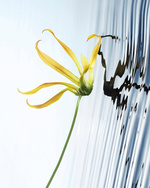 37.2 Paris - 4B43223F-995F-4BC5-8BE8-F3498A00A8C2.JPG