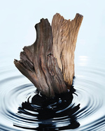 37.2 Paris - 1A21ECF9-33A0-4C2E-9093-5F18559370B0.JPG