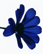 37.2 Paris - 9E403A0F-C999-4AA6-878C-D4C6D9F12F48.JPG