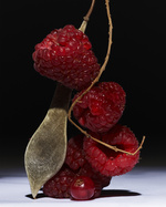 37.2 Paris - LOU37394.jpg