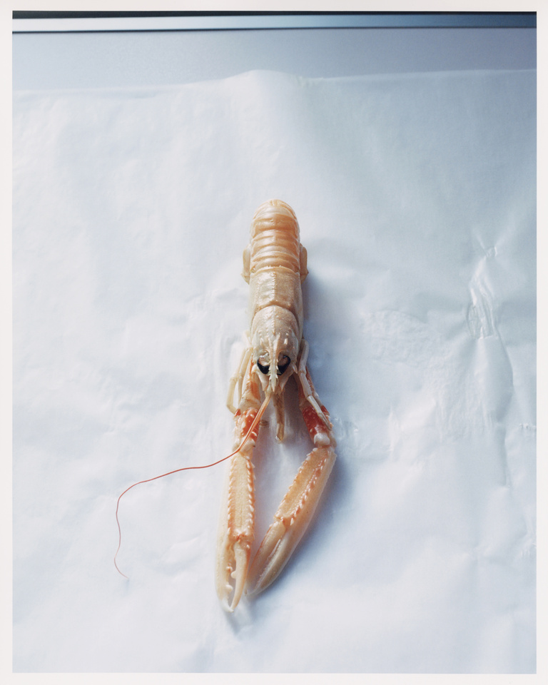 37.2 Paris - Family_Style_Langustine_AD copy.jpg