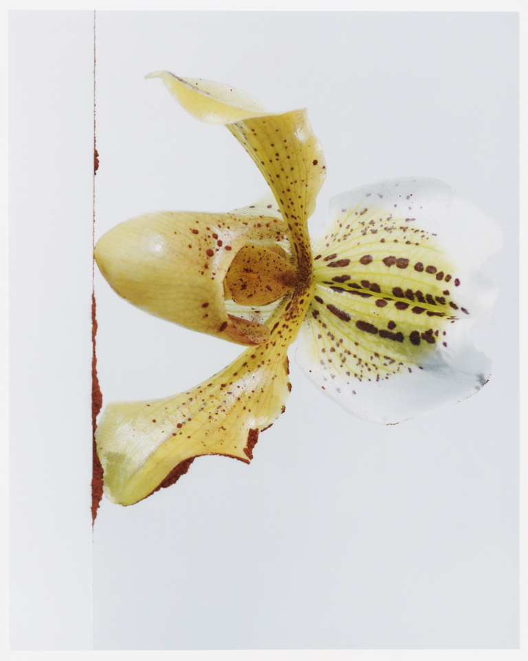 37.2 Paris - Beauty_AD (13) copy.jpg