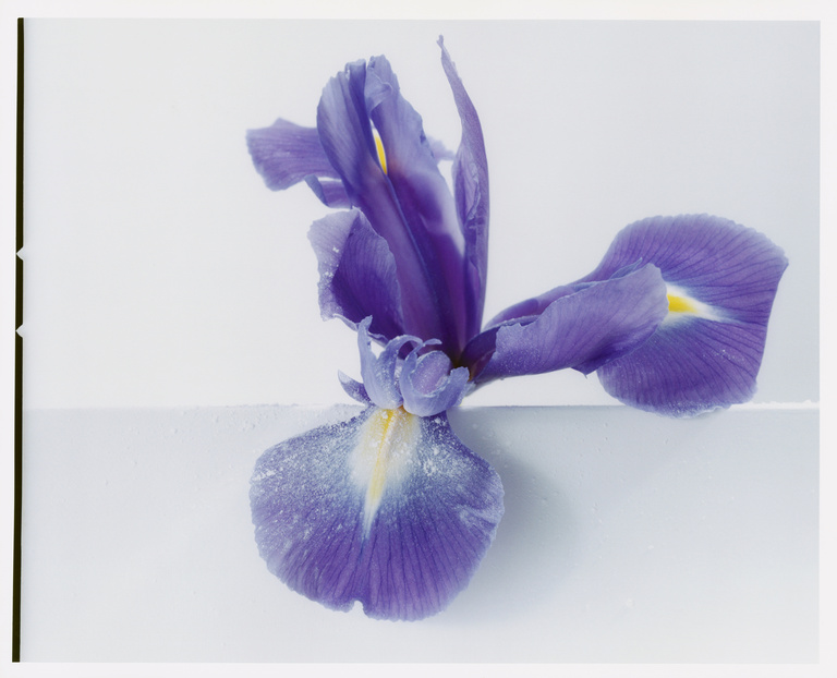 37.2 Paris - Beauty_AD (12) copy 2.jpg