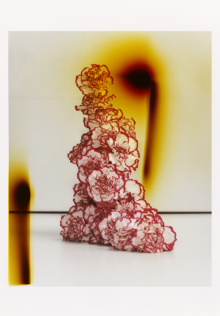 37.2 Paris - FLOWERS (4) copy.jpg