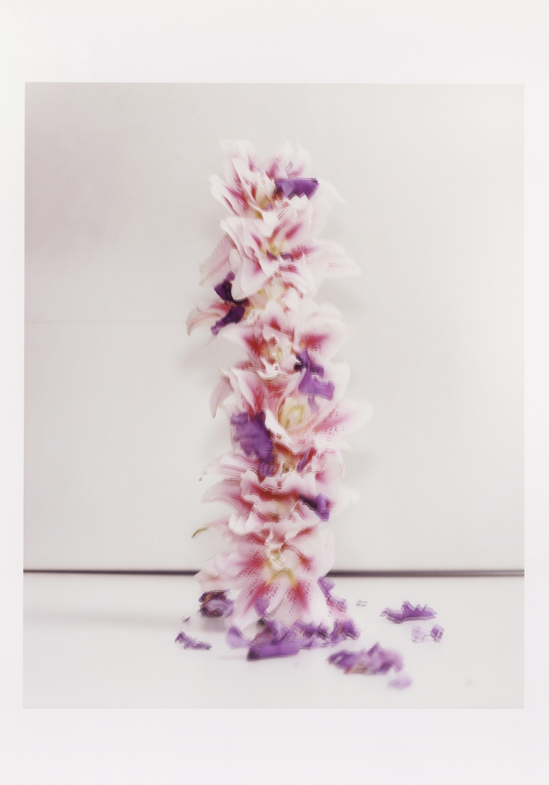 37.2 Paris - FLOWERS (8) copy.jpg