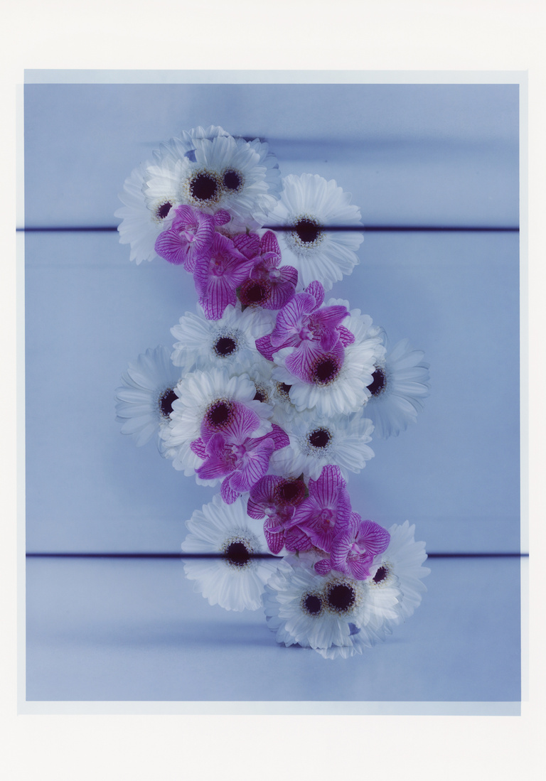 37.2 Paris - FLOWERS (9) copy.jpg