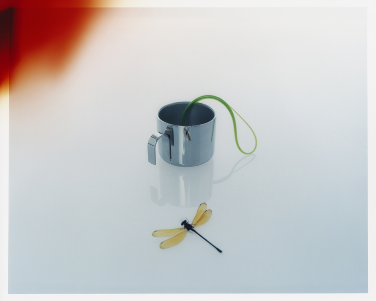 37.2 Paris - Dragonfly+SilverCup.jpg
