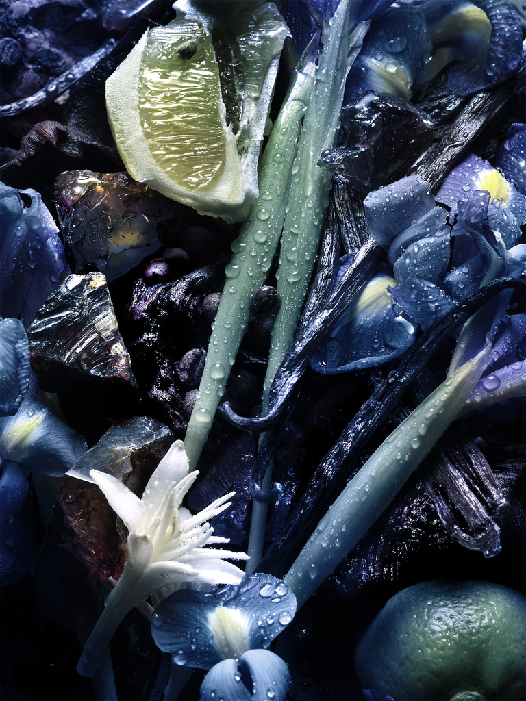 37.2 Paris - 250624_AMICA BEAUTY_070_IRIS_ING.jpg