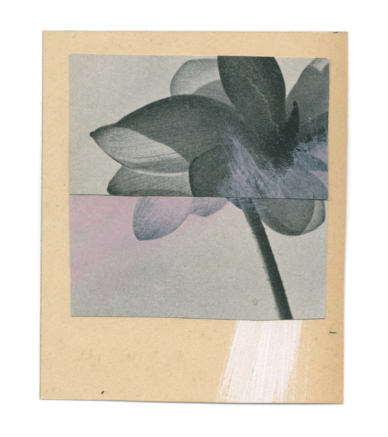 37.2 Paris - flowers-3_23082019.jpg