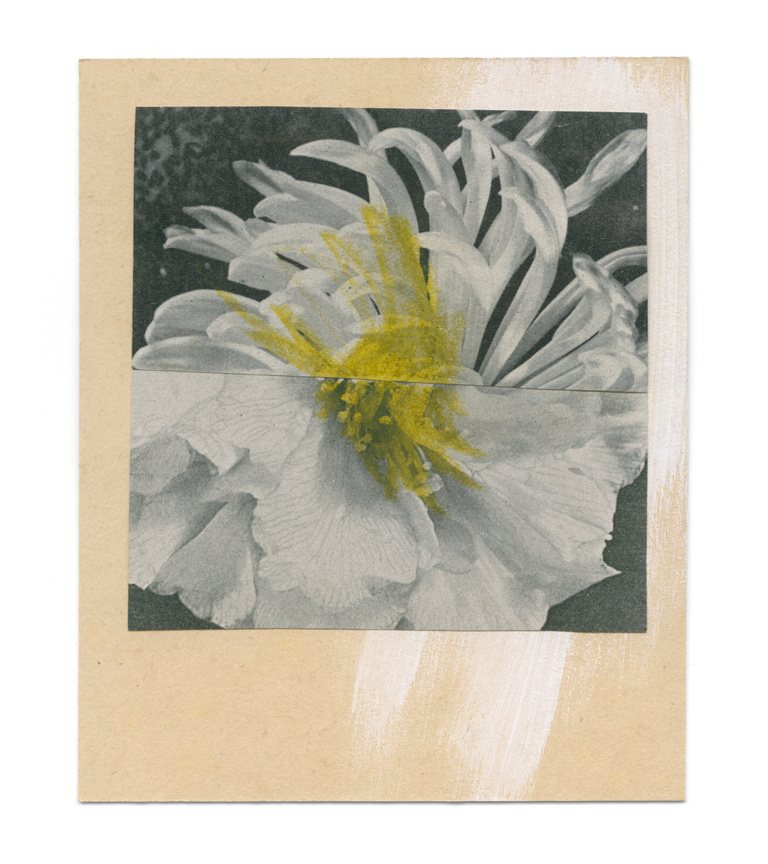 37.2 Paris - flowers-9_29082019.jpg