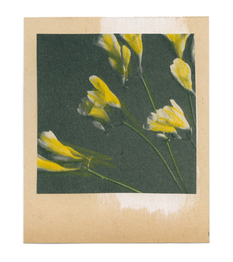 37.2 Paris - flowers-10_29082019.jpg