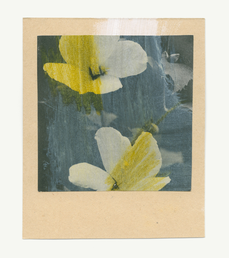 37.2 Paris - flowers-11_23082019.jpg