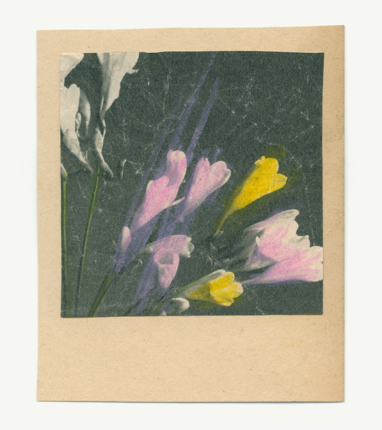 37.2 Paris - flowers-13_23082019.jpg