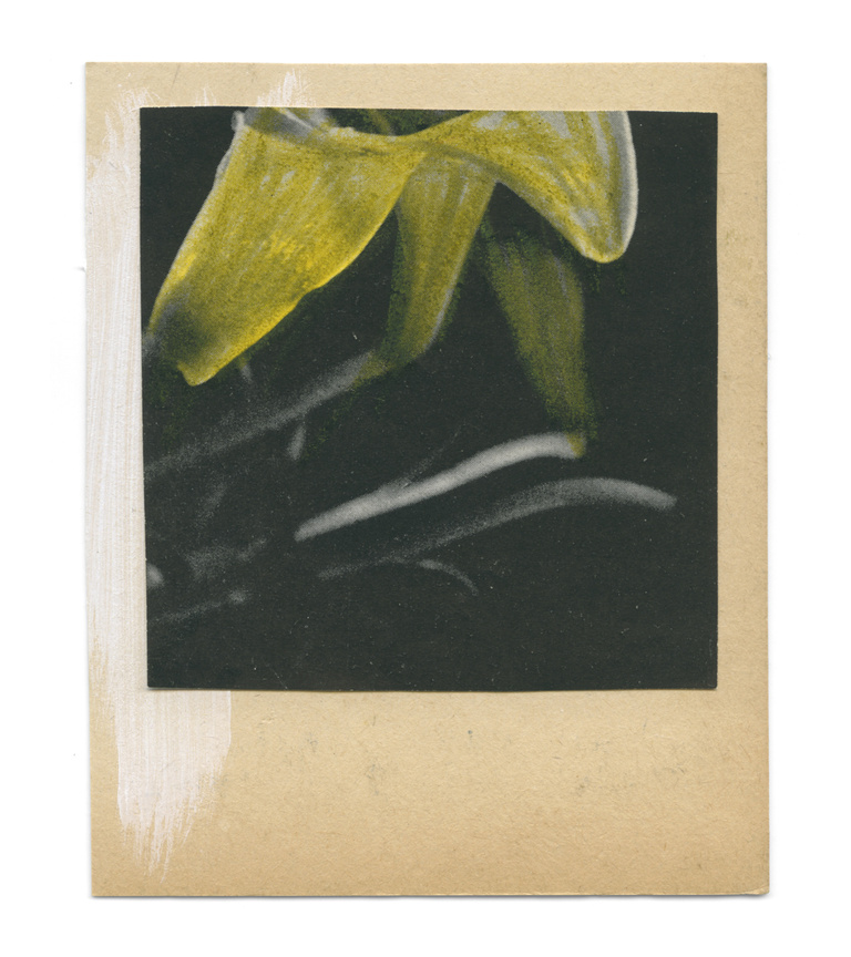 37.2 Paris - flowers-16_18102019.jpg