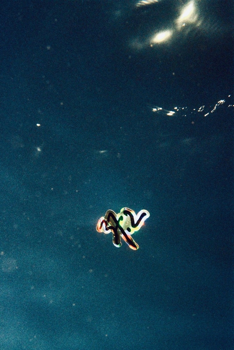 37.2 Paris - IMG_0847.JPEG