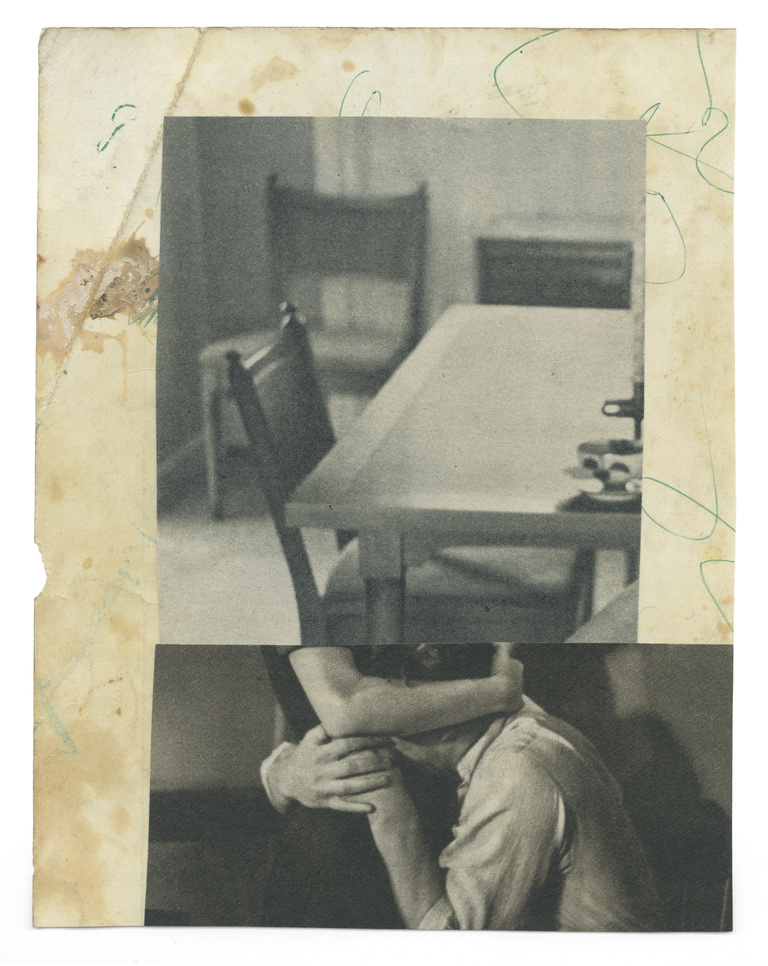 37.2 Paris - forest-animals-come-dangerously-close_24-27052025.jpg