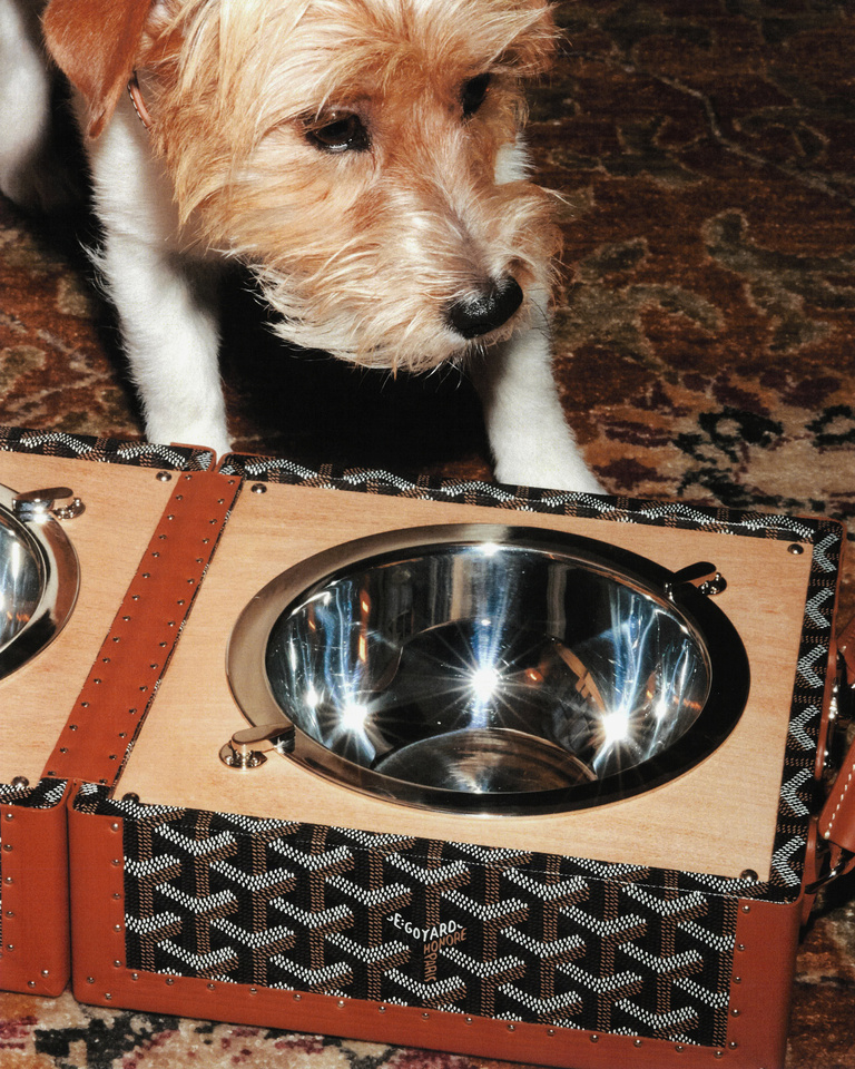 37.2 Paris - HBZ_DECJANV_HR_JEAN_MARQUES_31.jpg