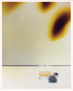 37.2 Paris - Glass+Brush.jpg