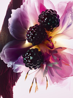 37.2 Paris - F106 MD DIORESSENCE 25 P03C Ingrédients_1.jpg