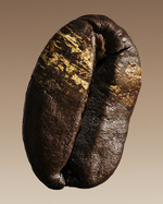 37.2 Paris - 5340-09F GA_PRIVE CUIR NU_INGREDIENT_COFFEE_SRG_300.jpg