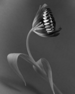 37.2 Paris - VHERNIER_TER.jpg