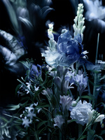 37.2 Paris - 250623_AMICA BEAUTY_030_PYRAMIDE_FLORAL.jpg
