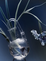 37.2 Paris - 250624_AMICA BEAUTY_060_VERRERIES.jpg