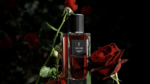 37.2 Paris - Ysl velour 