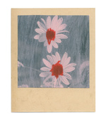 37.2 Paris - flowers-2_23082019.jpg