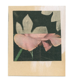 37.2 Paris - flowers-4_23082019.jpg