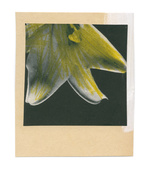 37.2 Paris - flowers-5_29082019.jpg