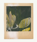 37.2 Paris - flowers-7_29082019.jpg