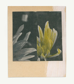 37.2 Paris - flowers-8_29082019.jpg