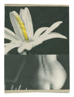 37.2 Paris - yellow_5_14052020.jpg