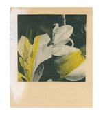 37.2 Paris - flowers-12_23082019.jpg