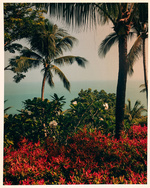 37.2 Paris - C5387281-84ED-42B2-B9D0-4C99A18A63F6.JPG