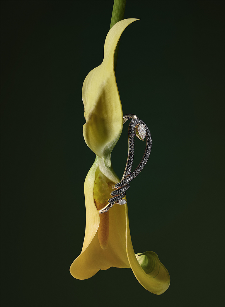 37.2 Paris - 251022_AMICA_020_CRIVELLI.jpg